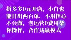 全新拼多多平台优质企业新手褔利，二天销售量过百单，不要钱、老经营代实际操作-创业资源网