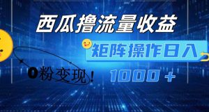 西瓜小视频撸总流量,简易入门,0粉转现引流矩阵实际操作,日入1000 【揭密】-创业资源网