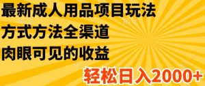 全新两性用品新项目游戏玩法,具体方法新零售,轻轻松松日入2K 【揭密】-创业资源网