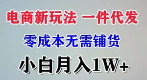 电子商务新模式 一件代发,零成本不用进货,新手月入1W-创业资源网