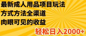 全新两性用品新项目游戏玩法,具体方法新零售,很明显的盈利,轻轻松松日入2000-创业资源网