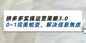 2024-2025拼多多平台实际操作运营战略3.0,0~1华丽蜕变,处理信息焦虑-创业资源网