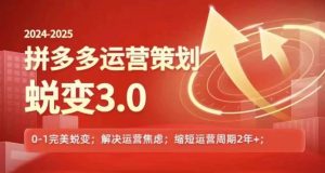 2024-2025拼多多运营对策成长3.0,0~1华丽蜕变,处理信息焦虑-创业资源网