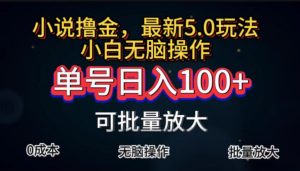自动式小说集撸金,运单号日入100 新手快速上手,没脑子实际操作-创业资源网