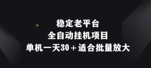 平稳老平台,全自动挂机新项目,单机版一天30 适宜大批量变大-创业资源网