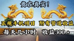 靠谱手机项目，附带丰富多样的管道收益，每日几个小时，盈利300-创业资源网