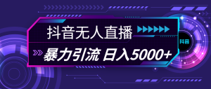 抖音无人在线,爆利引流方法,日入5000-创业资源网