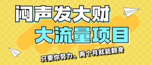 闷声发大财,大流量项目,月收益过3万,只要你努力,两个月就能翻身-创业资源网