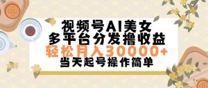 视频号AI美女,轻松月入30000+,操作简单轻松上手-创业资源网