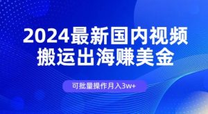 2024全新中国视频搬运出航赚美金，可批量处理月入3w-创业资源网