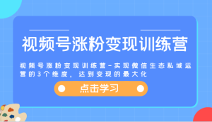 视频号涨粉变现训练营-实现微信生态私域运营的3个维度,达到变现的最大化-创业资源网
