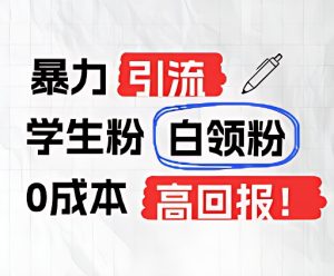 暴力行为引流方法学生们粉上班族粉,完爆过去废弃物游戏玩法,0成本费,高收益-创业资源网