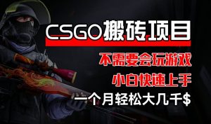 CSGO 装备搬砖项目,操作简单,不需要会玩游戏,小白也能快速上手,一个月轻松大几千【揭秘】-创业资源网