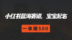 小红书的瀚海跑道，宝宝取名，一单赚500-创业资源网