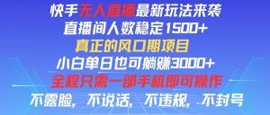 快手无人直播全新玩法,直播间人数稳定1500+,小白单日也可躺赚3000+,…-创业资源网