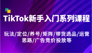 TikTok新手入门系列课程，玩法/定位/养号/矩阵/带货选品/运营思路/广告竞价投放等-创业资源网
