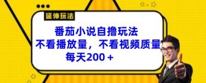 番茄小说自撸游戏玩法,不要看播放率,不要看视频清晰度,每日200 【揭密】-创业资源网