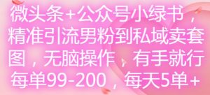 头条 微信公众号小绿书,精准引流方法粉丝到公域卖套图,没脑子实际操作,有手就行,每一单99-200,每日5单-创业资源网
