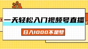 一天入门视频号直播带货，日入1000不是梦-创业资源网
