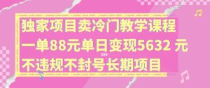 独家代理新项目卖小众教学内容一单88元单日转现5632元违反规定防封号长期项目【揭密】-创业资源网