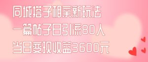 同城搭子相亲新玩法一篇帖子引流80人当日变现3600元(项目教程+实操教程)【揭秘】-创业资源网