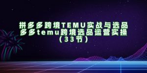 拼多多平台跨境电商TEMU实战演练与选款,多多的temu跨境电商选款经营实际操作-创业资源网