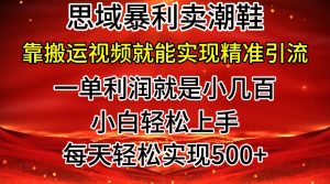 公域卖潮牌鞋子爆利游戏玩法,新手快速上手,日赚多张,轻松,只靠搬运视频就可精准引流方法-创业资源网