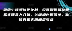 手机微信中视频伙伴方案,只靠运送就能轻轻松松完成日入多张,重要实际操作还简单,可以更好的完成睡后盈利-创业资源网