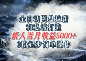 自动式百度云盘引流和公域打造出,0粉发展易操作,新手新手入门当月盈利5000之上-创业资源网