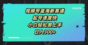 视频号蓝海新赛道,起号速度快,小白轻松易上手,日入3张-创业资源网