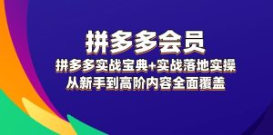 拼多多会员实战宝典+实战落地实操,从新手到高阶内容全面覆盖-创业资源网