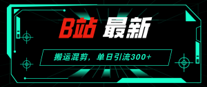 B站最新,搬运混剪,单日引流300+创业粉-创业资源网