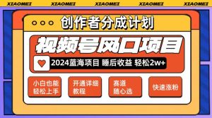 微信视频号大风口项目 轻松月入2w+ 多赛道选择,可矩阵,玩法简单轻松上手-创业资源网