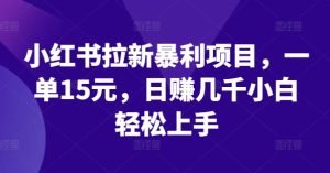 小红书的引流赚钱项目,一单15元,日赚好几千新手快速上手【揭密】-创业资源网