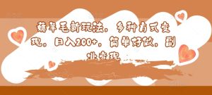 撸羊毛新模式,多种形式转现,日入200 ,简易好做,第二职业转现-创业资源网