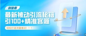 创业者必看,解锁最新被动引流秘籍,日引100+精准客源,轻松打造流量爆点!-创业资源网