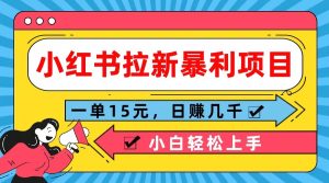 小红书的引流赚钱项目,一单15元,日赚好几千新手快速上手-创业资源网