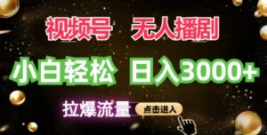 微信视频号蓝海项目,没有人播剧拉爆总流量,新手都可以轻松日入3K-创业资源网