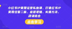 小红书IP变现运营私教课,打通红书IP变现任督二脉,底层逻辑、实操方法、战训结合-创业资源网