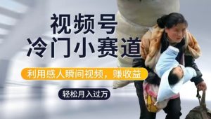 利用感人瞬间视频,赚视频号分成计划收益,操作简单,新手小白轻松上手-创业资源网
