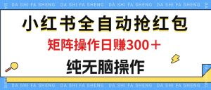 最新小红书全自动抢红包,单号一天50+ 矩阵操作日入300+,纯无脑操作-创业资源网