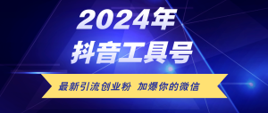 24年抖音最新工具号日引流300+创业粉,日入5000+-创业资源网