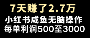 七天挣了2.7万!每单利润至少500 ,轻轻松松月入5万 新手有手就行-创业资源网