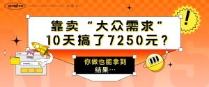 以卖“大众需求”,10天做了7250元?一个人做也能拿到结论…-创业资源网