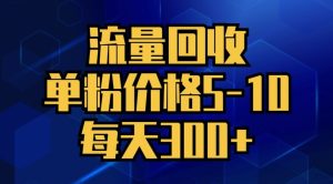 总流量回收利用,单粉价钱5-10,每日300 ,轻轻松松月入五位数-创业资源网