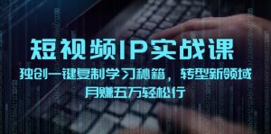 短视频IP实战课,独创一键复制学习秘籍,转战新领域,月赚五万轻松行-创业资源网