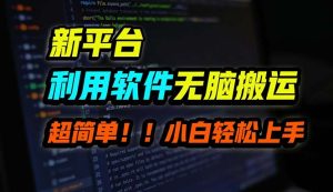 B站平台用软件无脑搬运,月赚10000+,小白也能轻松上手-创业资源网