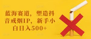 瀚海跑道，营造抖音视频戒烟戒酒IP，新手入门日入500 【揭密】-创业资源网