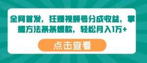 独家首发,狂赚微信视频号分为盈利,掌握方法一条条爆品,轻轻松松月入1万-创业资源网