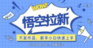 悟空拉新最新玩法,无需作品暴力出单,小白快速上手-创业资源网